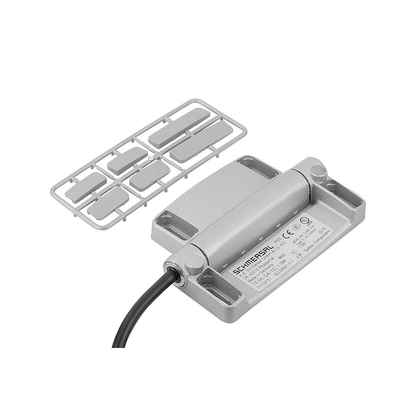 Safety Hinge Switch  78X116, Form:B, Zinc, Comp:Plastic, Mounting, , 1C / 2O